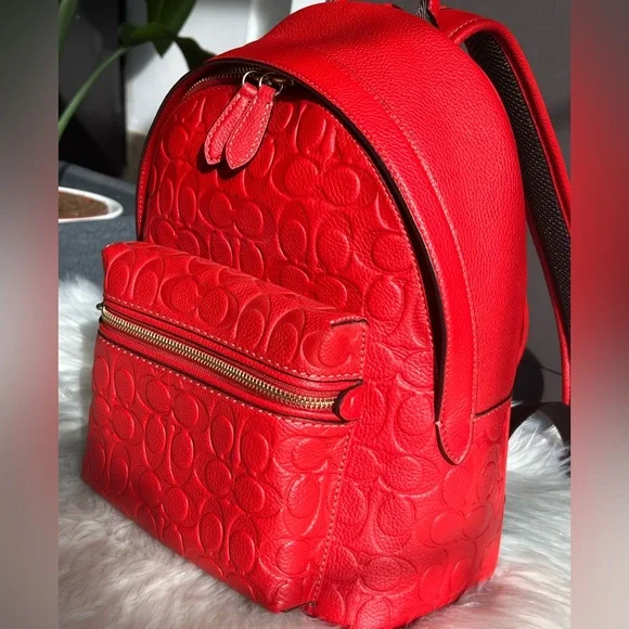 💰SOLD - CC394 - Coach Charter Backpack 24 In Signature Leather - Picture 4 of 15